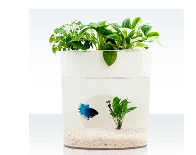 fish tank planter