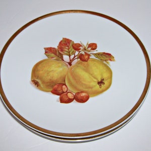 6 Jaeger Harvest Plates Fruit and Nut Pattern Salad Size 7.75&quot; Made in Germany