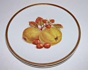 6 Jaeger Harvest Plates Fruit and Nut Pattern Salad Size 7.75" Made in Germany