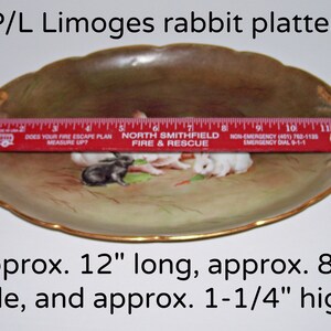 Limoges Rabbits Bunnies Platter Tray Shallow Dish Hand Painted JPL ...