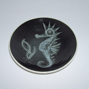 May include: A black ceramic plate with a white silhouette of a seahorse and seaweed. The seahorse has a detailed design with a large eye and a curled tail.