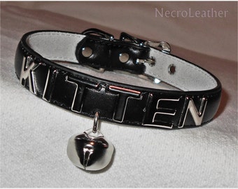 collar that says kitten