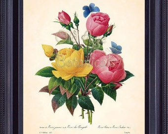 REDOUTE Botanical Print 8x10 Art Print Antique Flower Bouquet Yellow Pink ROSE Roses Blue Butterflies Wall Room Decor Vintage Plate BF1307