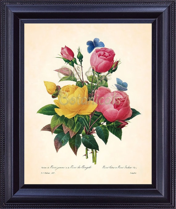 REDOUTE Botanical Print 8x10 Art Print Antique Flower Bouquet
