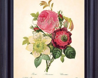 REDOUTE Botanical Print 8x10 Art Print Antique Floral Bouquet White Pink ROSE Anemone Clematis Flowers Home Wall Decor Vintage Plate BF1308