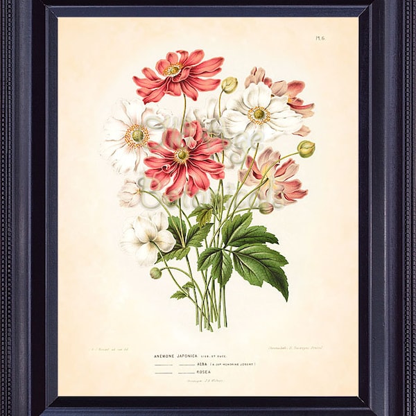 8x10 Floral Print - Etsy