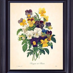 REDOUTE pensamientos Grabado Botánico Bouquet Floral 8 x 10 impresión del arte antiguo flores Vintage placa 97 blanco amarillo violeta casa pared decoración BF1312