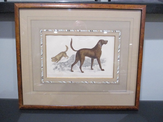 Fabulous 1800's Antique Walnut Framed Dog Print Double Mat From Goldsmith History of the Earth and Animal Nature