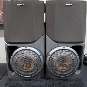May include: Two gray Sony speakers with black speaker covers. The speakers have silver accents and circular speaker grills with the text "D.S.W." in the center. The speakers are sitting on a black surface.