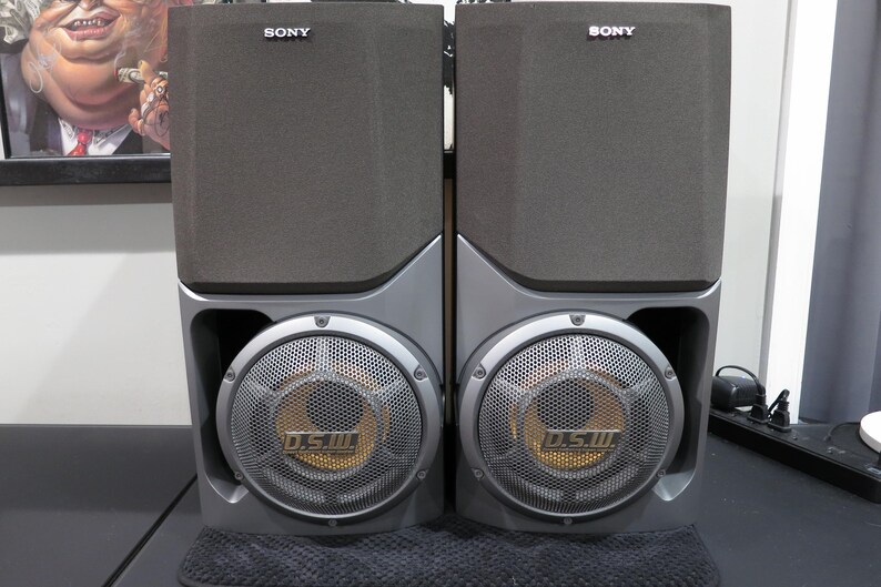 May include: Two gray Sony speakers with black speaker covers. The speakers have silver accents and circular speaker grills with the text "D.S.W." in the center. The speakers are sitting on a black surface.