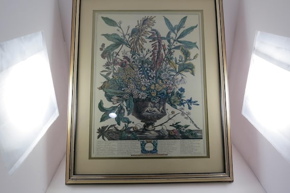 Vintage Robert Furber 12 Months of Flowers Framed January Print Tan and Beige Double Mat Gold Wood Frame 22x18 Excellent Condition