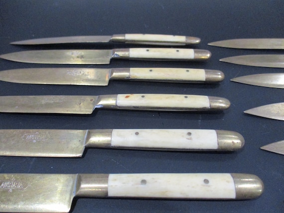 Set of 12 Vintage Gold Fruit Knives Marked Austria Bone Handle Excellent Condition