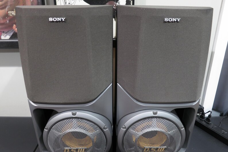 May include: Two gray Sony speakers. Each speaker has a rectangular, fabric-covered upper section with the "SONY" logo. The lower section features a silver mesh grill over a circular speaker, with "D.S.W." printed on it.