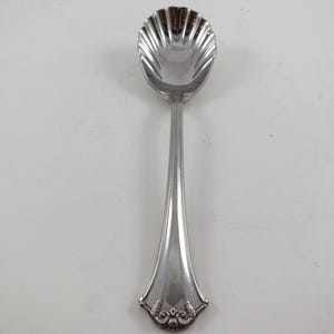 May include: A silver serving spoon with a shell-shaped bowl and a long, ornate handle. The spoon is made of a shiny, reflective metal and is likely used for serving sugar or other condiments. The spoon is approximately 7 inches long.