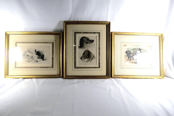 Set of Three Matching Framed 8x11 Jardine Animal Copper Engravings from 1843 Wall Decor