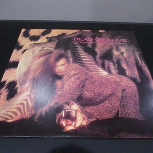 Vintage 1984 Vinyl LP Record Sophisticated Boom Boom Dead or Alive Excellent Condition 65678