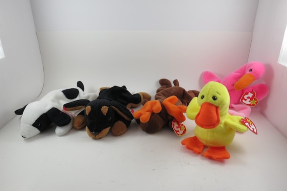 Collection of Five TY Beanie Babies Chocolate Pinky Doby Quackers Spot All MWMT