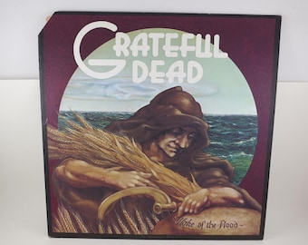 Vintage 1973 Vinyl LP Record in Celebration of the Comet the