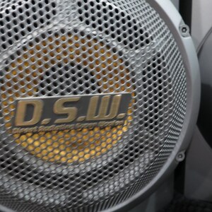 May include: Close-up of two silver speaker grills with a perforated design. The speakers have a gold-colored center and a silver frame. The logo "D.S.W." is visible on the speaker.