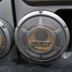 May include: Silver speaker system with two speakers. Each speaker has a silver mesh grill with the text "D.S.W." and a gold-colored speaker cone. The speakers are set in a gray cabinet.