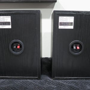May include: Two black Sony SS-B1000 speaker cabinets shown from the rear. Each unit features a white rectangular label with technical specifications, a circular input terminal housing with one red and one black spring-clip connector, and wood grain texture.