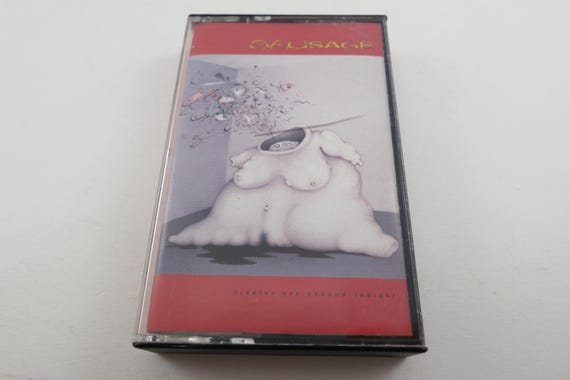 Rare 1994 Vintage Alt Rock Cassette Tape Riddles Are Abound Tonight-Sausage