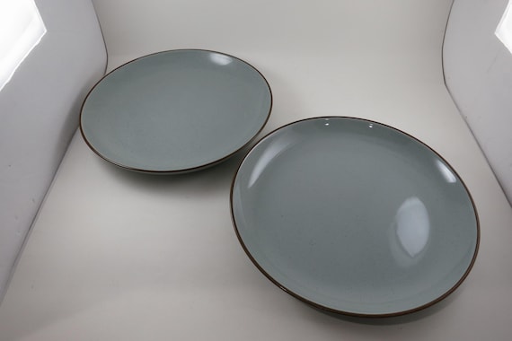 Over and Back Stoneware Speckled Sage Dinner Plates (Set of 2)