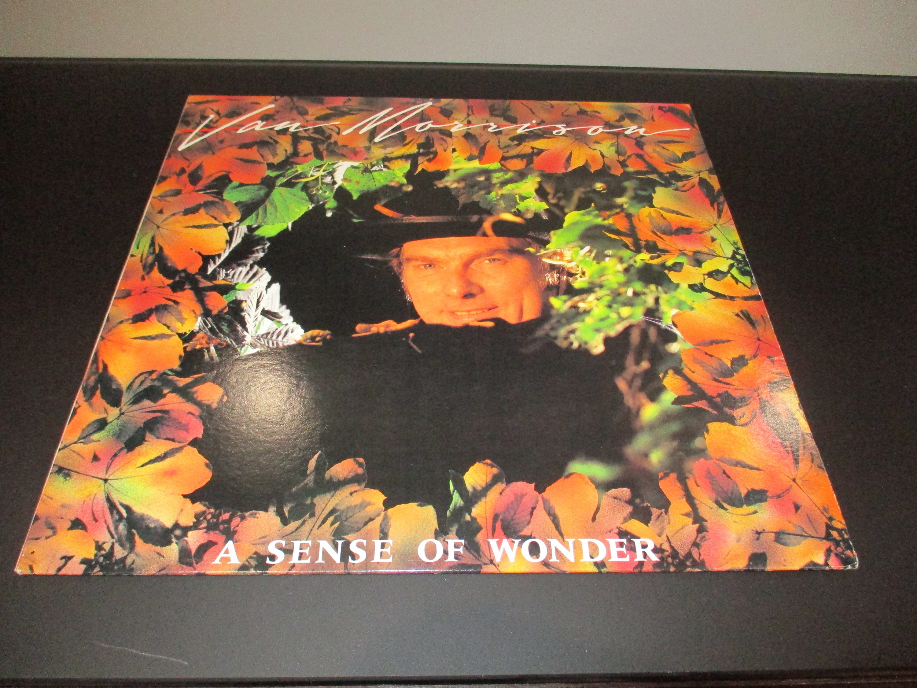 The Sense of Wonder - Etsy The Sense of Wonder - Etsy