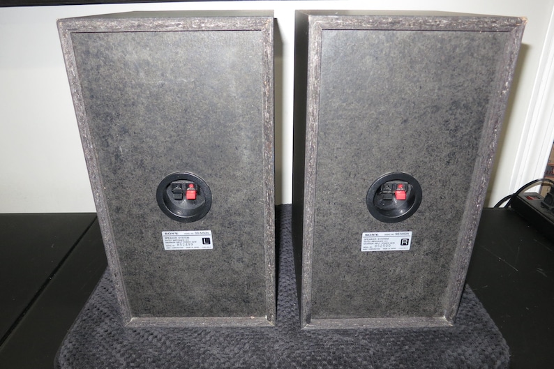 May include: Two rectangular Sony speaker cabinets with a dark gray textured finish. Each unit features a circular black terminal housing with red and black spring-clip connectors. White labels indicate left and right channels with model SS-NX10.