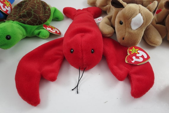 Collection of Seven TY Beanie Babies Pinchers Fine and Coarse Mane Derby Speedy Jabber Congo Stretch