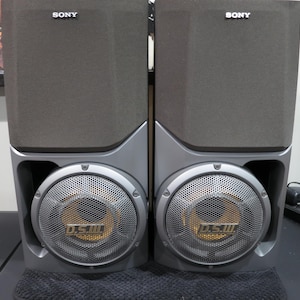 May include: Two gray Sony speakers with a mesh grill over the woofer. The speakers have a rectangular shape with a silver accent and the word "SONY" printed on the top. The woofers have the text "D.S.III".