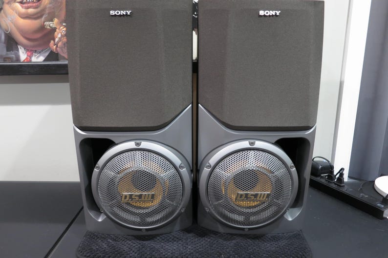 May include: Two gray Sony speakers with a mesh grill over the woofer. The speakers have a rectangular shape with a silver accent and the word "SONY" printed on the top. The woofers have the text "D.S.III".