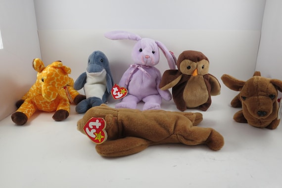 Collection of Six TY Beanie Babies Hoot Weenie Twigs Echo Cubbie Floppity All MWMT