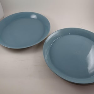 May include: Two oval-shaped, light blue ceramic plates. The plates have a smooth, glossy finish and a slightly raised rim. The plates are empty and appear to be new.