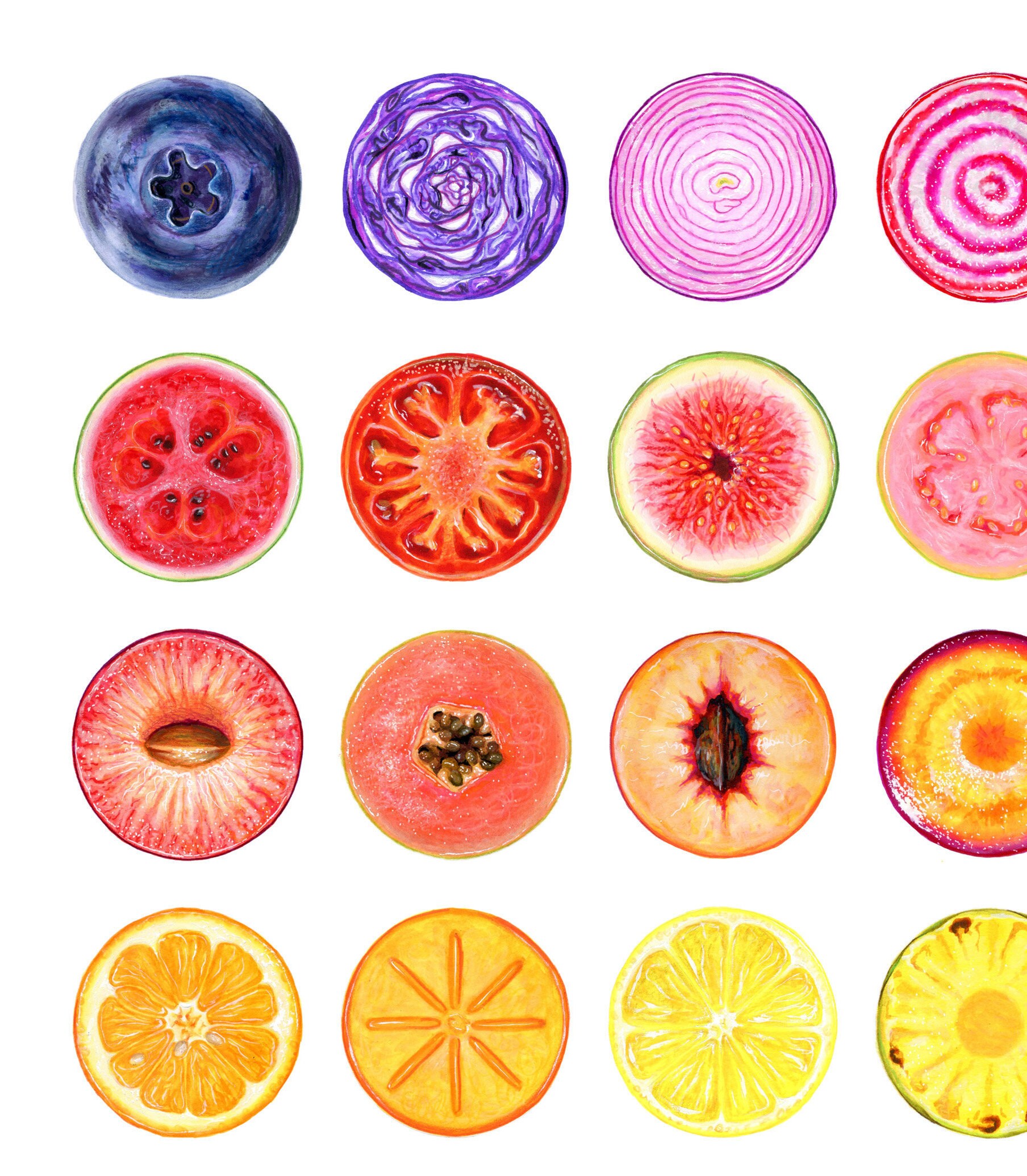 Fruit Slices Illustration 16x20 in Giclee Fine Art Print Etsy