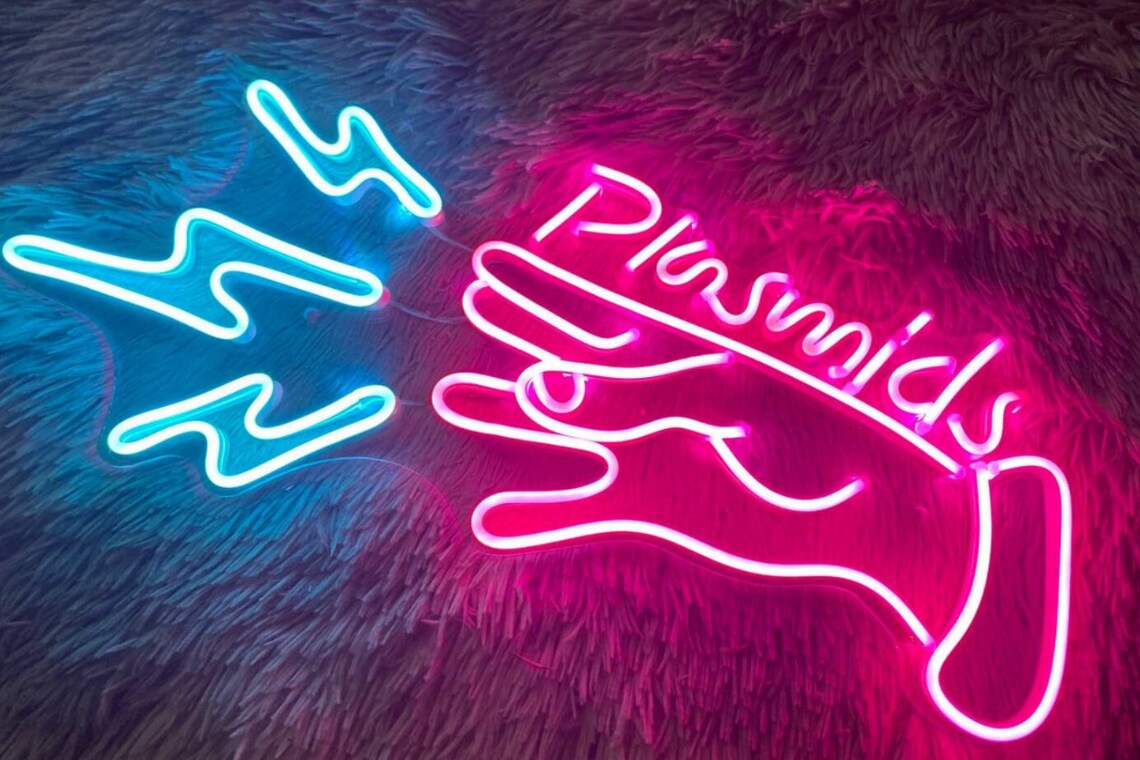 Bioshock Plasmids Neon Sign Custom Neon Sign Wall Decor Etsy New Zealand