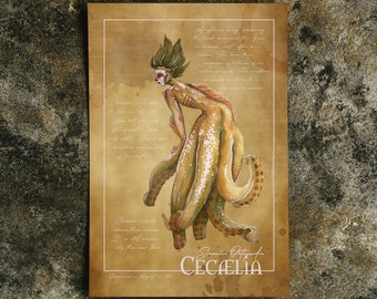 Cecaelia - Fine Art Print - by Lauren Walke - 9 Sirens Creative