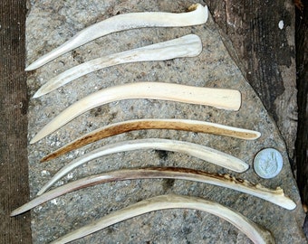 Single Hair stick cloak pin of natural shed deer antler. Splits, Hand shaped , No dyes.