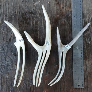Hair prong fork comb of natural shed deer antler. Hand shaped , NO dyes.