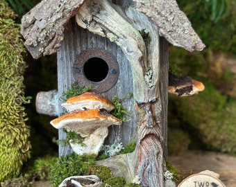 Rustic Birdhouse | Whimsical and Functional Birdhouse with Predator Guard |  Fairy Fantasy Hobbit Birdhouse