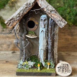 Rustic Wizard  Birdhouse | Whimsical and Functional Birdhouse with Predator Guard |  Fairy Fantasy Tree Sentinel Birdhouse |