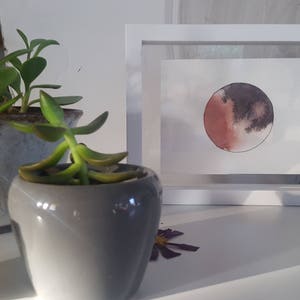 l’été du sang n ° 1