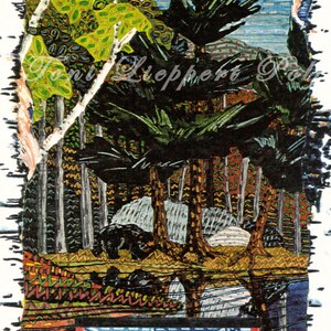 May include: A colourful illustration of a woodland scene with a black bear and two green frogs. The trees are a mix of green and brown, and the ground is covered in a variety of colours. The text "Toni Lieppert Gal" is visible in the top right corner of the image.