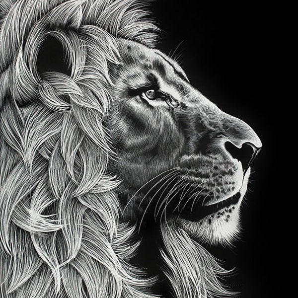 Lux - Lion Art Print