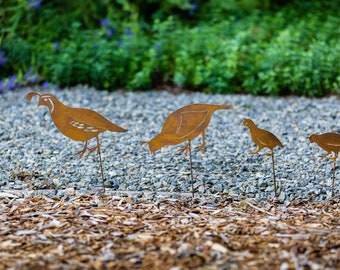 Quail Garden Art Etsy