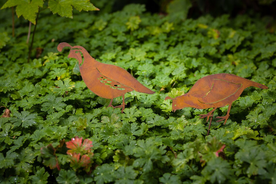 Metal Quail Garden Stakes Quail Family Silhouettes Rusted Etsy
