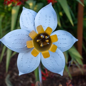 Daffodil Stake
