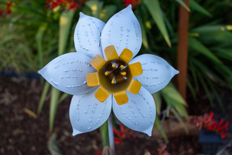 Daffodil Stake