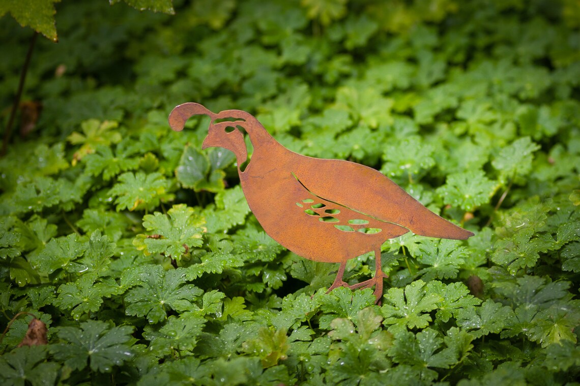 Metal Quail Garden Stake Quail Bird Silhouette Southwest Etsy