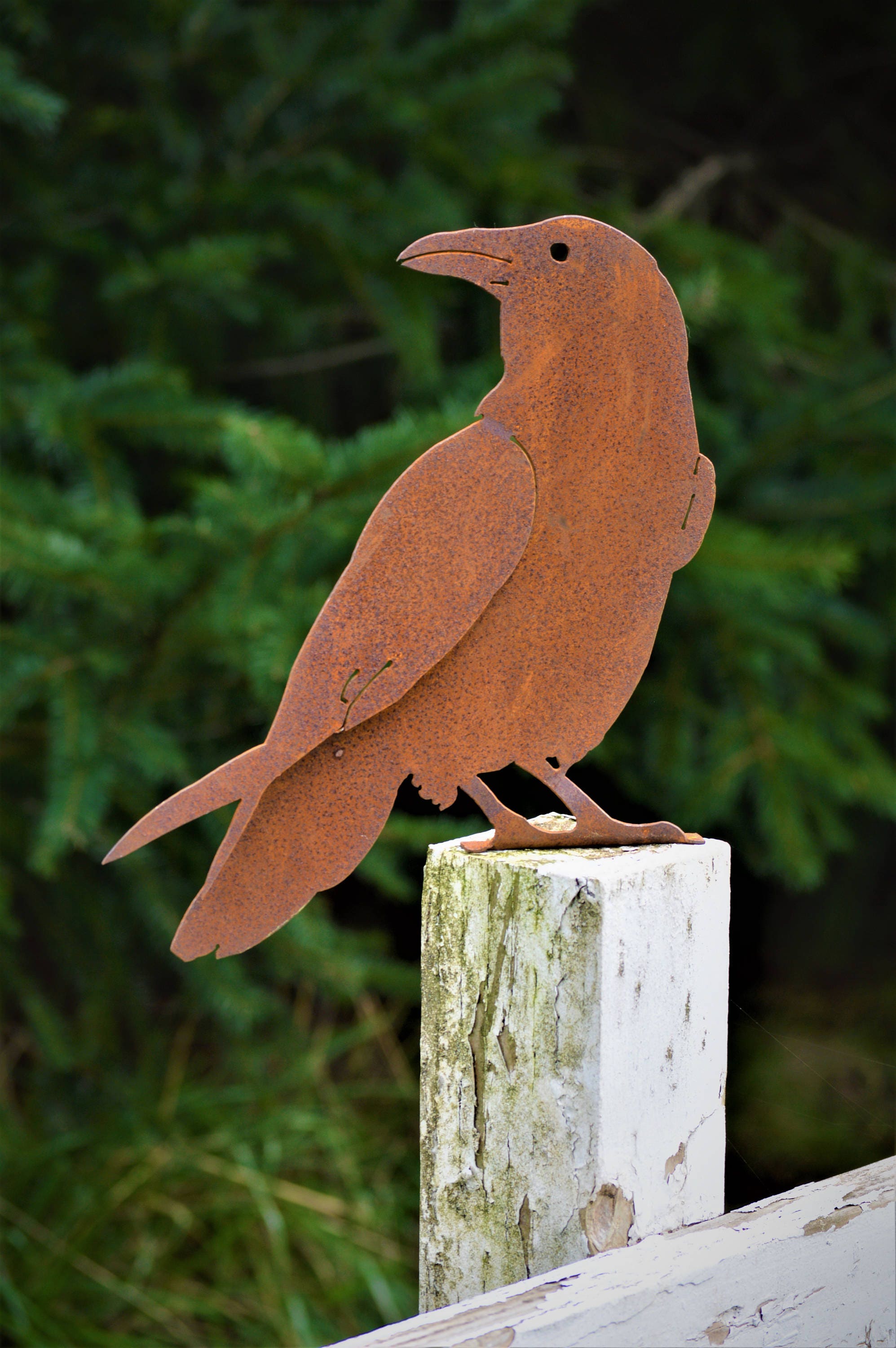 Quoth the Raven, Nevermore, Raven Metal Fence Decor, Rusted Metal Gar…
